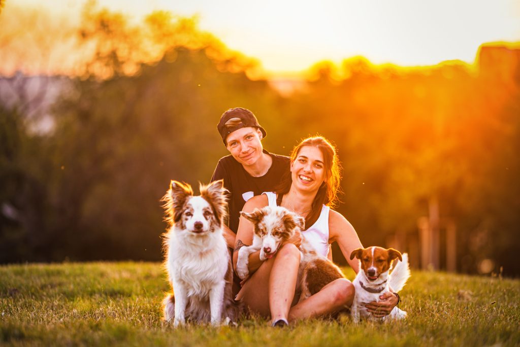 Focení psů, fotografie Vojtěcha Flídra, snímek 6