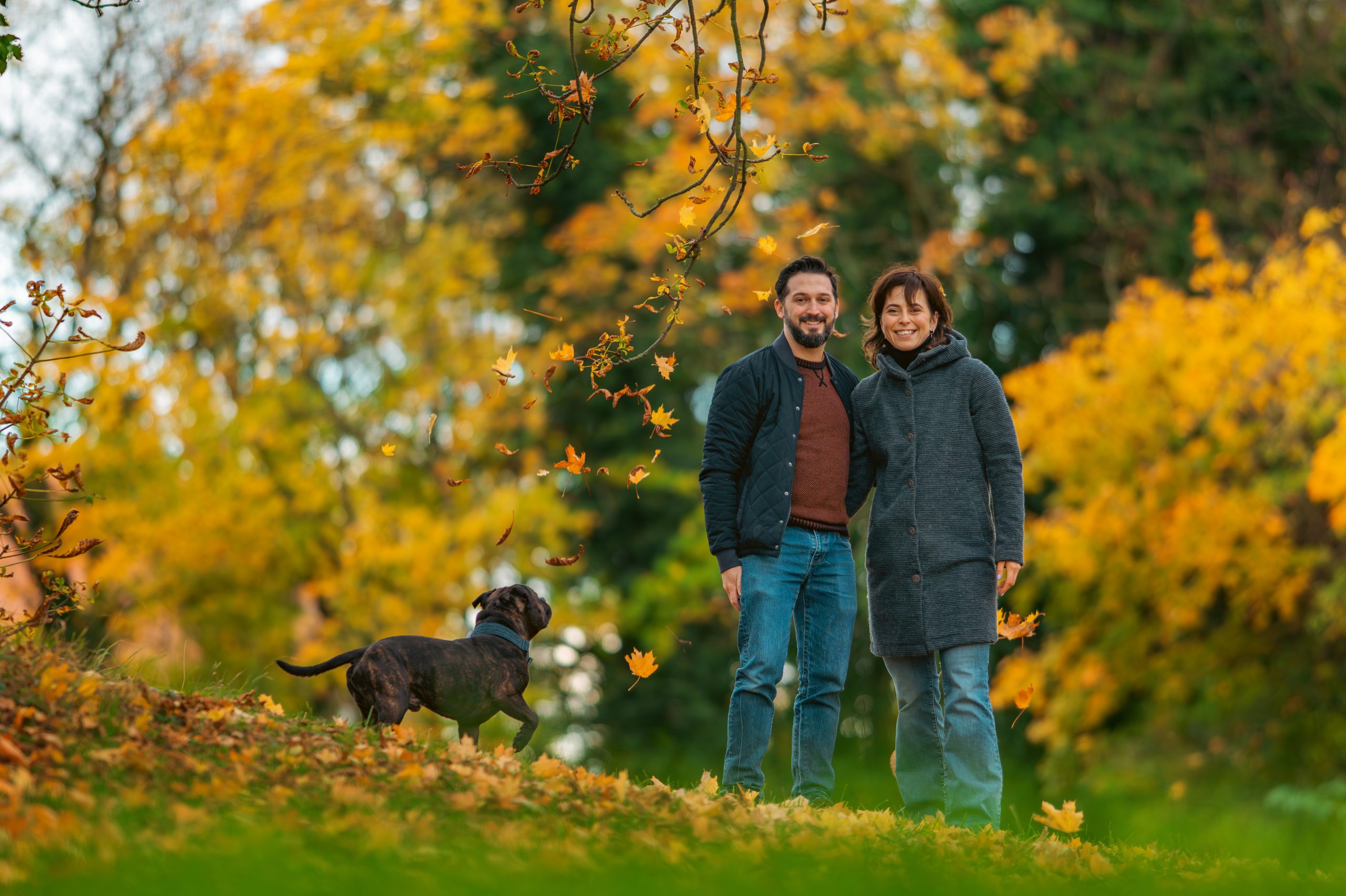 DSC_8003-Enhanced-NR